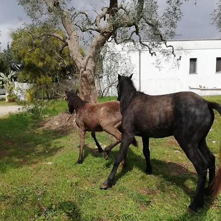 Trullo Spazzavento